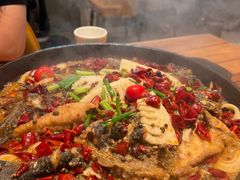 -老板恋上鱼(恒隆广场店)