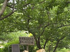 -北马山庄植趣咖啡