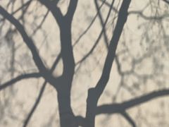-龙溪路(地铁站)