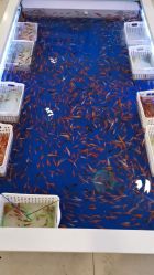 -孩子王童乐园(淮安万达店)