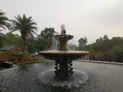-美的鹭湖森林度假区