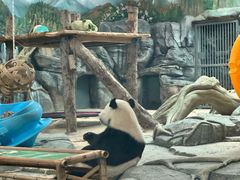 -武汉动物园