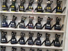 -猫咪博物馆(顶澳仔猫街店)