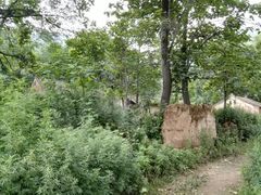 -终南山国家森林公园