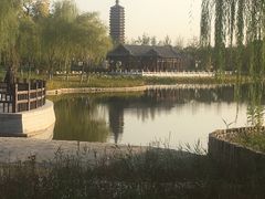 -西海子公园