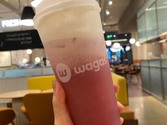 -Wagas沃歌斯(汇智店)