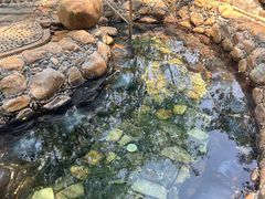 -三亚海棠湾南田温泉神龙谷