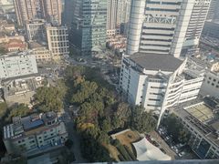 -裕和堂中医推拿艾灸(太古汇臻品店)