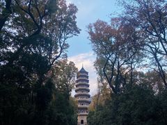 -灵谷景区