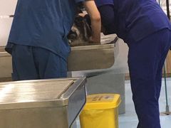 -萌兽医馆·犬猫专科·眼科中心·宠物医院(朝阳门分院)