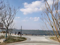 -春花秋色城市公园