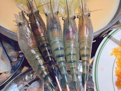 -禄婶鸡煲·打边炉