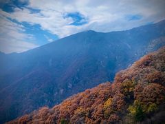 -牛背梁国家森林公园