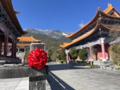 -崇圣寺三塔文化旅游区