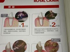 -达爱动物医院·犬猫分区·CT·复杂眼科(远洋山水分院)