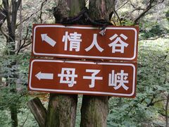 -少华山国家森林公园