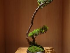 -文三酒肆自助放题(新街口友谊广场店)