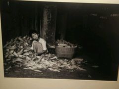 android_upload_pic-黔蘑菇四季餐厅(观山湖店)