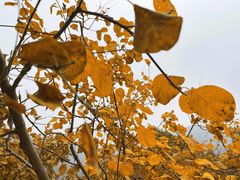 -北京十三陵国家森林公园蟒山景区