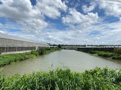 -马陆小张葡萄园农家乐