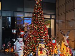 -上海外滩英迪格酒店