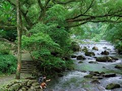 -广州市石门国家森林公园