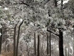 -自游人·美食一楼·地道徽菜(三十年名店)