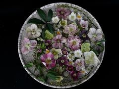 -荷兰布尔玛国际花艺学院