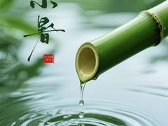 -茶马古道·野生菌清汤黄牛肉(沙溪店)