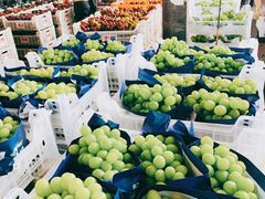 -江杨农产品批发市场