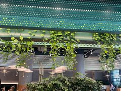 -Shake Shack(前滩太古里店)
