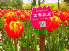 -长春公园(普阳街道)