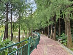 -深圳龙潭公园