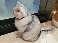 -Oasis绿洲银饰珍珠手作diy(壹方城店)