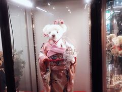 -伊豆泰迪熊博物馆