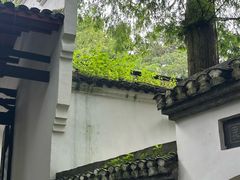 -白鹿洞书院