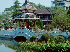 -顺峰山公园