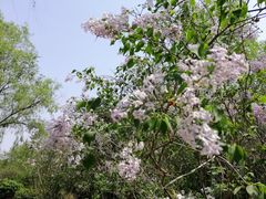 -哈尔滨师范大学(松北校区)