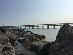 -黑石礁公园