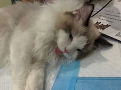 -美迦爱-牙专科·兔科·骨科诊疗中心(北苑店)