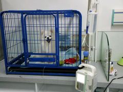 -达爱动物医院·犬猫分区·CT·复杂眼科(远洋山水分院)