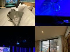 -哈尔滨波塞冬海底世界