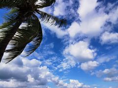 -三亚西岛海洋文化旅游区