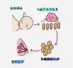 -Dr.林醫生产后修复·配方产康(南京江宁万达店)
