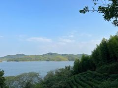 -天目湖涵田半山温泉