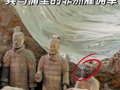 -秦始皇帝陵博物院(兵马俑)