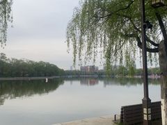 -北陵公园