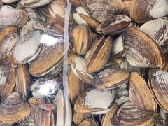 -震海贝烤贝·民俗特色店(延吉总店)