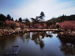 -石岛赤山风景区
