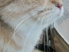 -瑞派天宁宠物医院·猫科·异宠中心